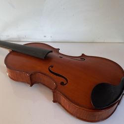 Viola 