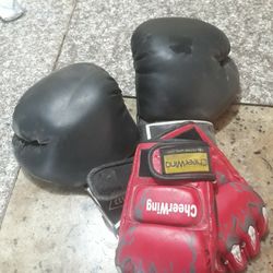 Training Gloves