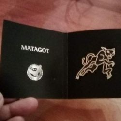 Harry Potter PIN , Collectible Pin