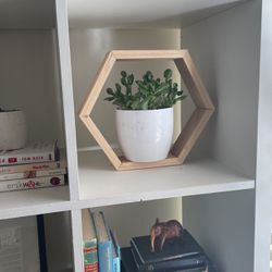 Wooden Hexagon Shelves / Art