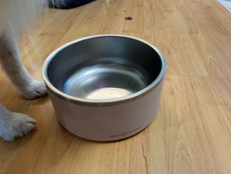 Blush pink stainless steel dog bowl