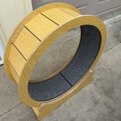 Cat Wheel For Cardio.