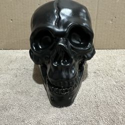 Halloween Skull Head Decor Charcoal Black.