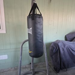 Punching Bag And Stand 