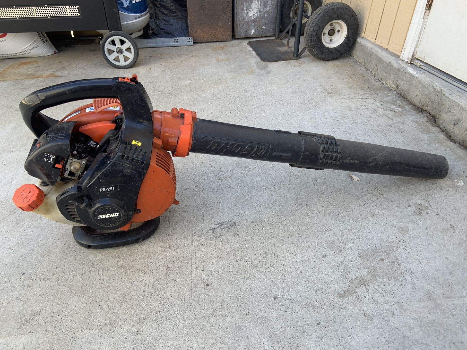 Gas Leaf Blower ECHO