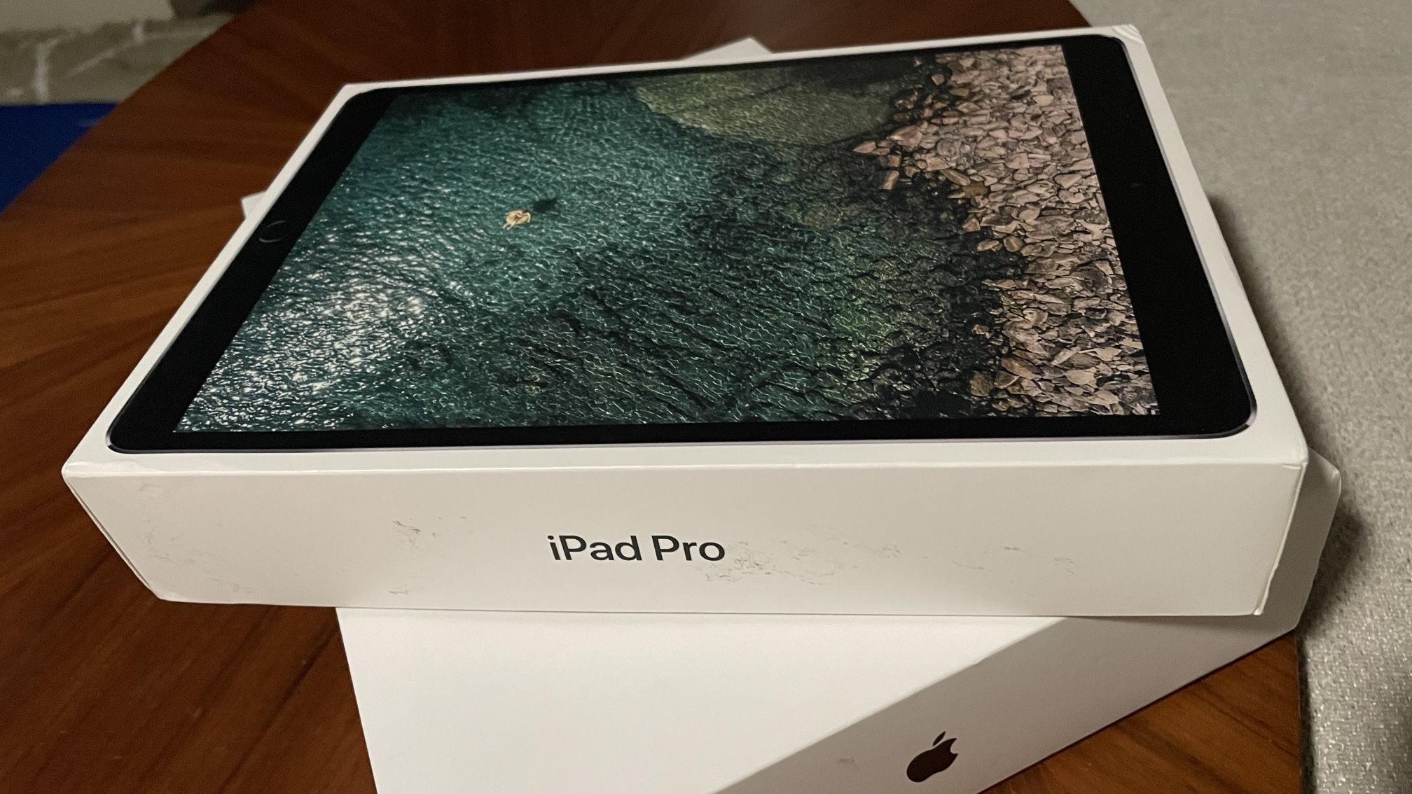 Like new iPad Pro 10.5 Inch Wi-Fi With Apple Pencil And Extra new Tips