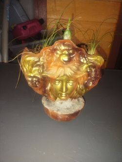 Plant