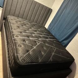 I Have A Truckload Of New Mattresses