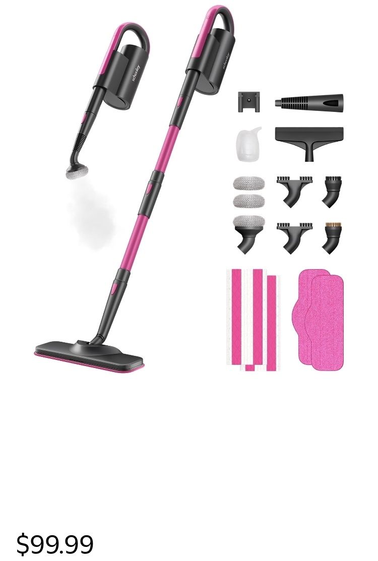 Schenley Steam Mop
