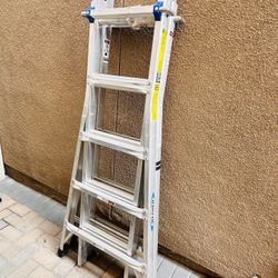 21ft Werner Ladder