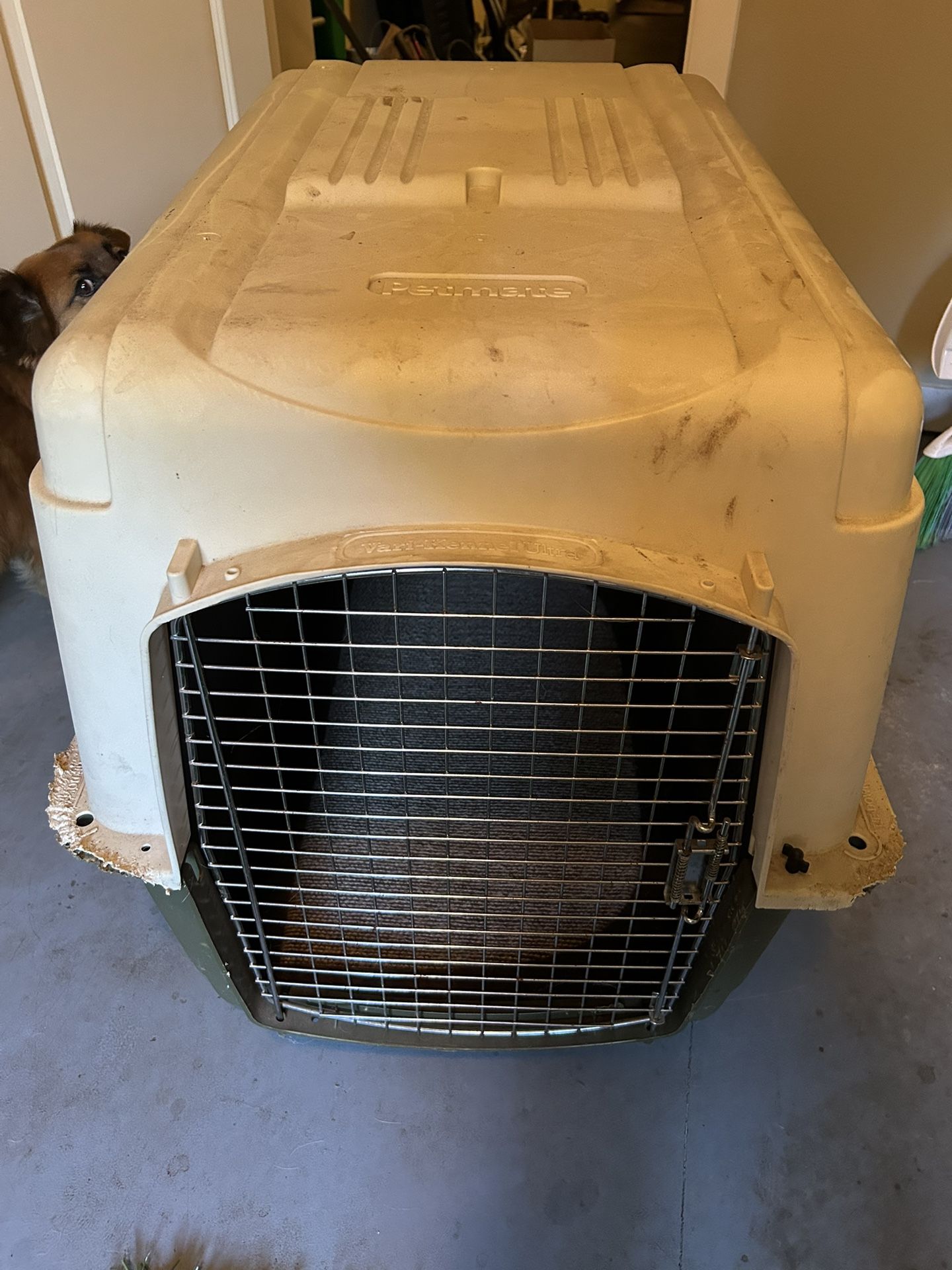 Dog Crate