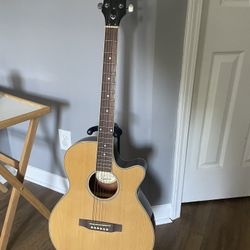 Epiphone Acoustic/Electric Guitar PR-4E