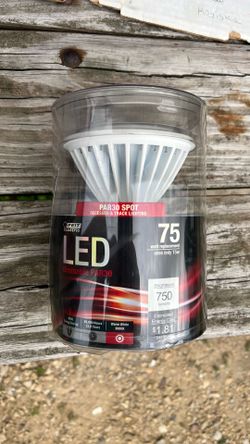 Light
