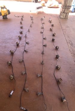 Outdoor string lights