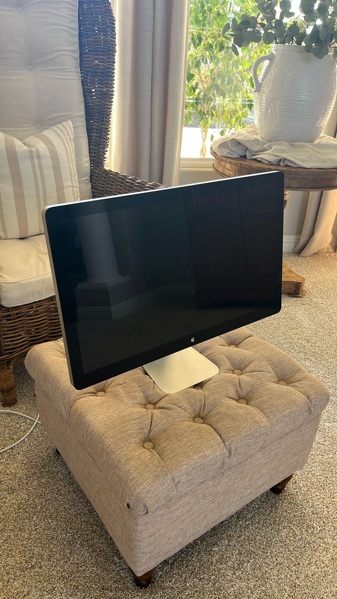 Apple Thunderbolt Monitor 30" Only