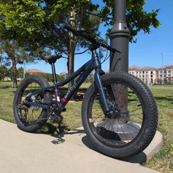 REI Rev 20 6-Speed Plus Kids Fat Tire Mountain Bike