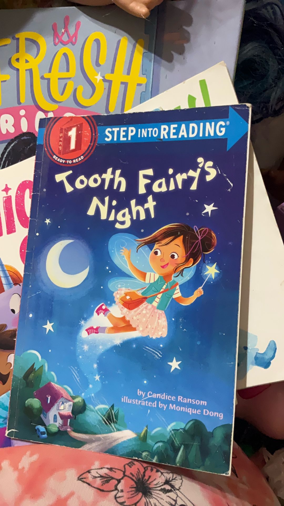 Tooth fairy book