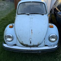 1974 Volkswagen Beetle