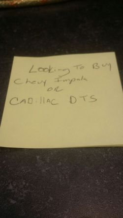 Looking for reliable impala