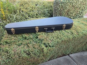 Guitar case