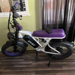 Electric E-bike 