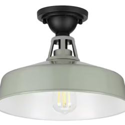 Progress Lighting Cedar Springs Collection 1-Light Pistachio Farmhouse Outdoor Semi-Flush Mount Light