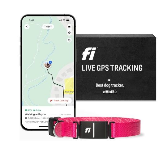 Fi Series 3 Smart Dog Collar - GPS Dog Tracker and Activity & Health Monitor