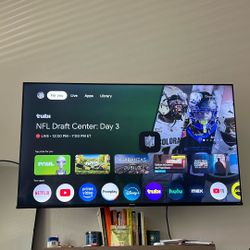 55in TV