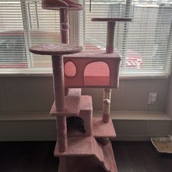 Cat Condo