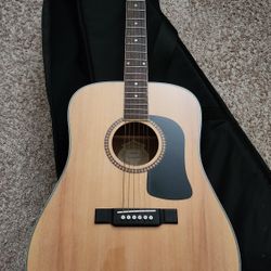 Washburn D10S Acoustic Guitar + Soft Case