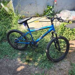 Mountain Bike 