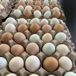 Eggs 