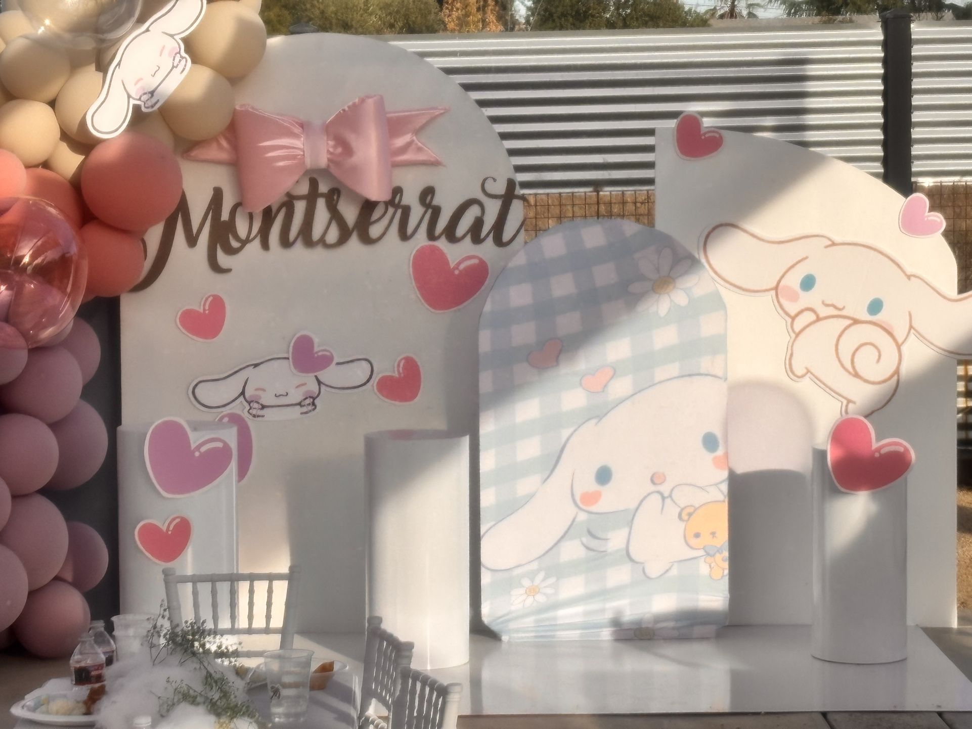 Party Decor