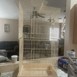 Bird Cage 