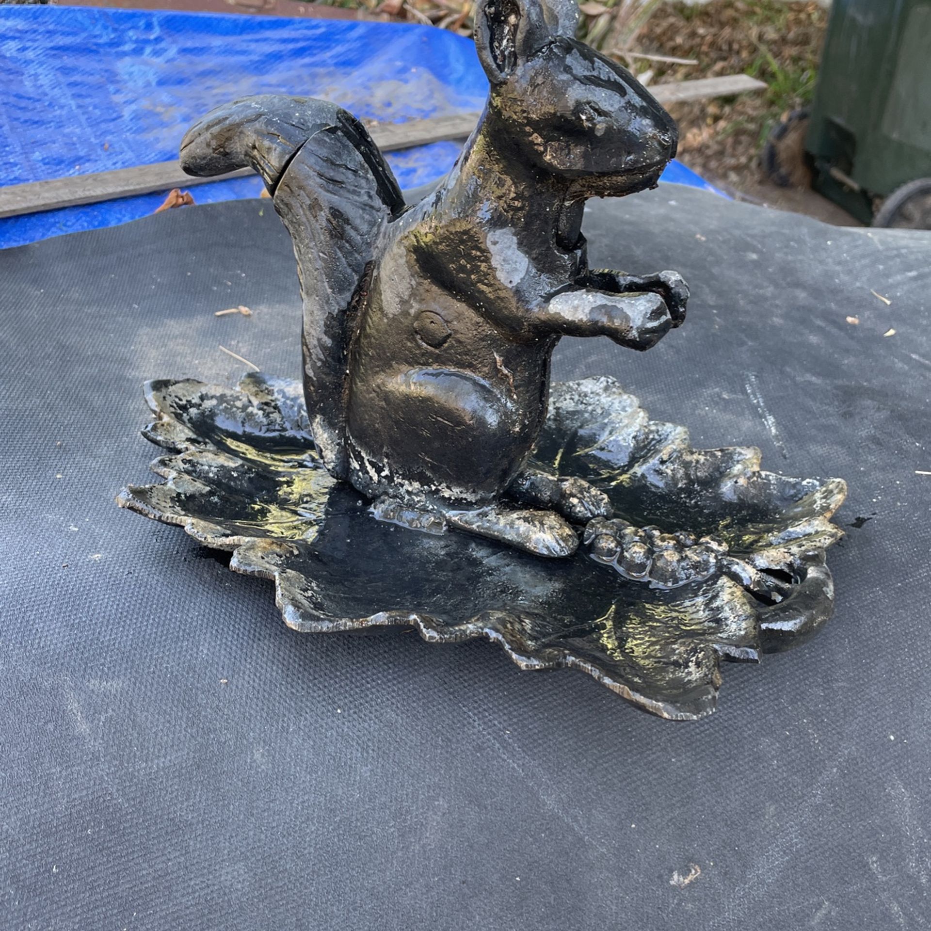 Cast-iron nutcracker squirrel 🐿 🐿🐿