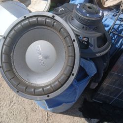 Twelve inch subwoofers
