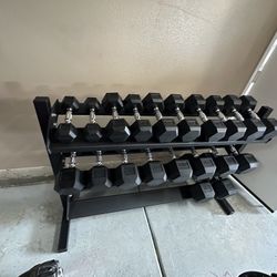 5-50lbs Dumbbells w/Rack 