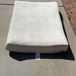 Brand New Dog Bed