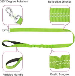 Small Dog Harness and Leash - Fuchsia – Slowtonglobal