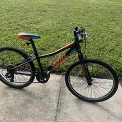 Giant Young Adult Bike