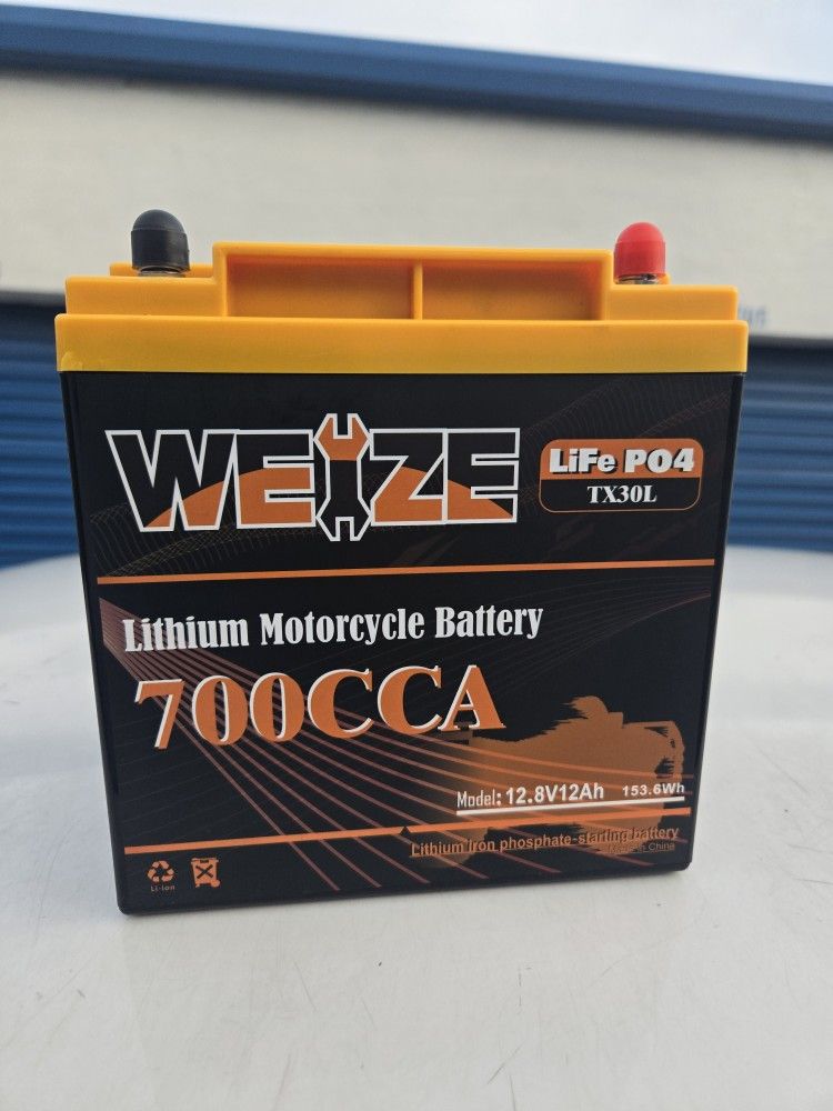 Motorcycle Battery