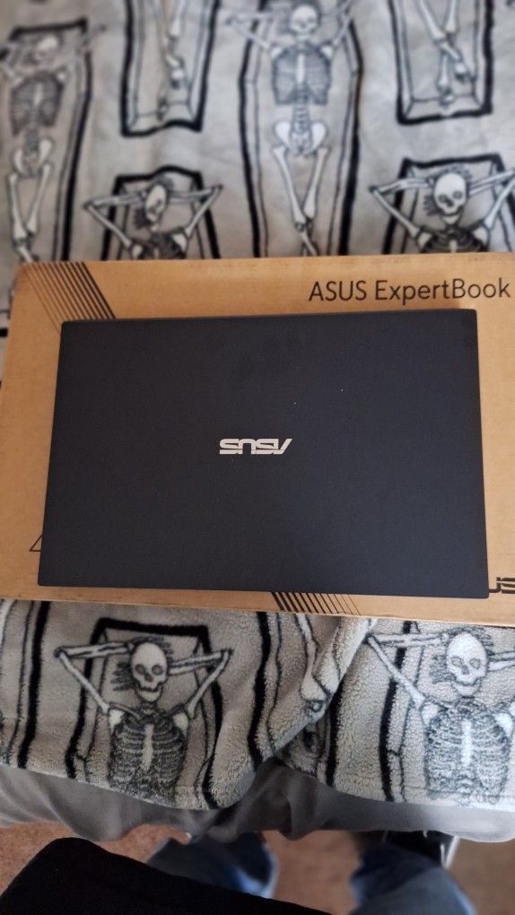 Asus Expertbook 2025