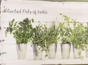 Herb Garden Picture