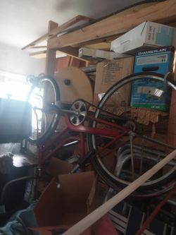 Schwinn