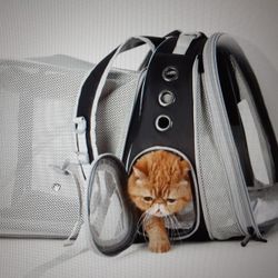 Lollimeow Pet Carrier Backpack Cats And Puppies