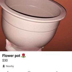  Flower Pot 