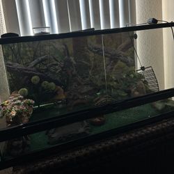 50 Gallon Tank 