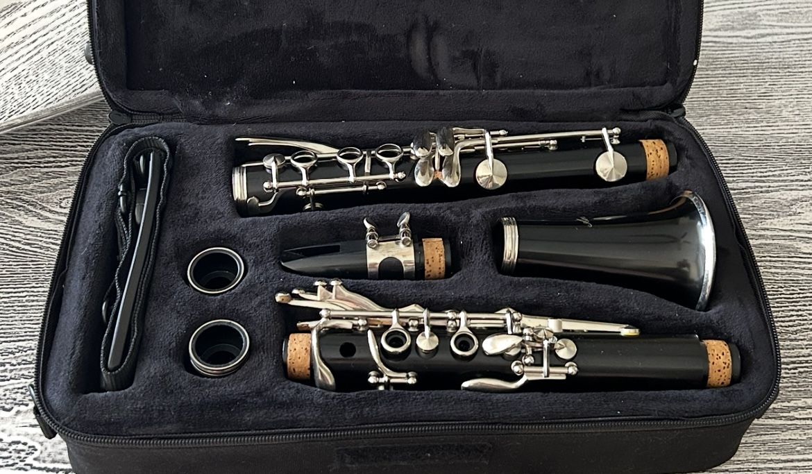 Clarinet with carry case in excellent condition. $60