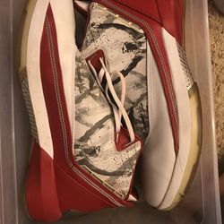 Jordan 22s