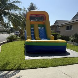 Party supply